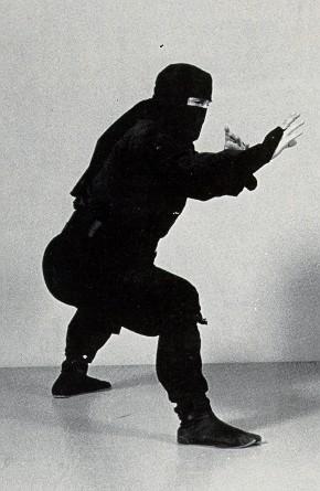 ниндзя